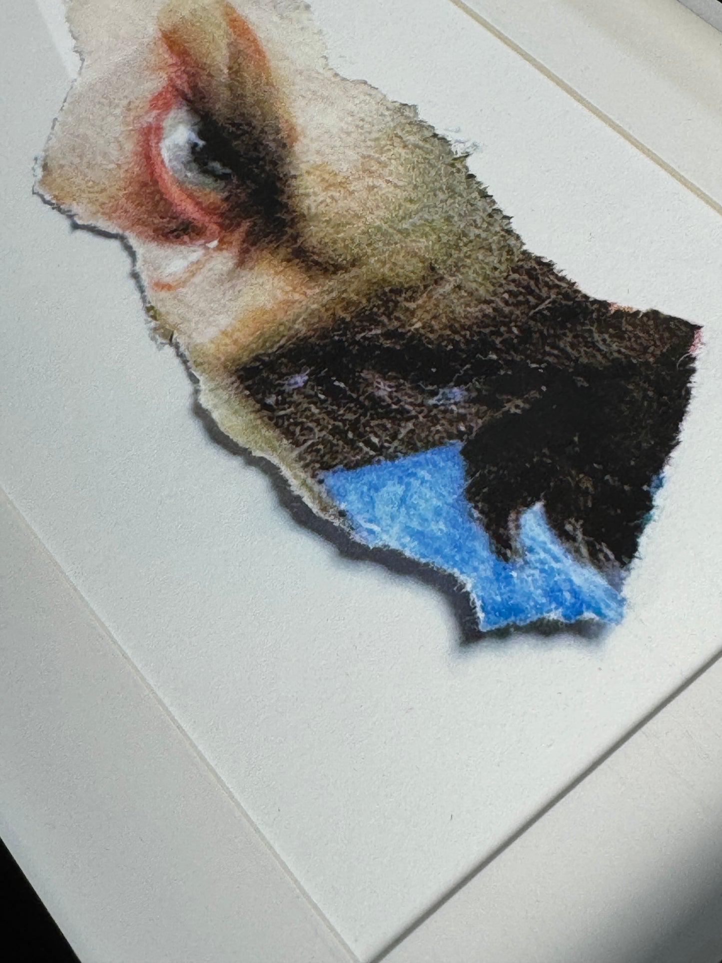 Gerahmter Print im Passepartout