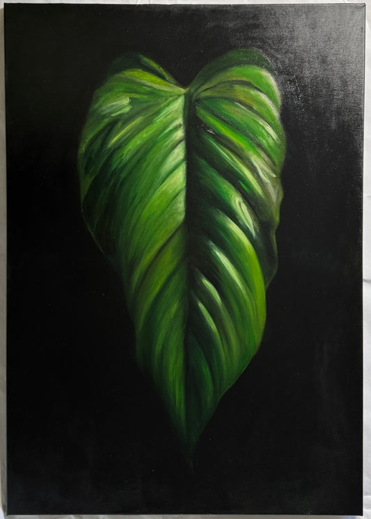 ohne Titel (Portrait eines Philodendron)